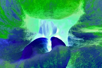 A 29B